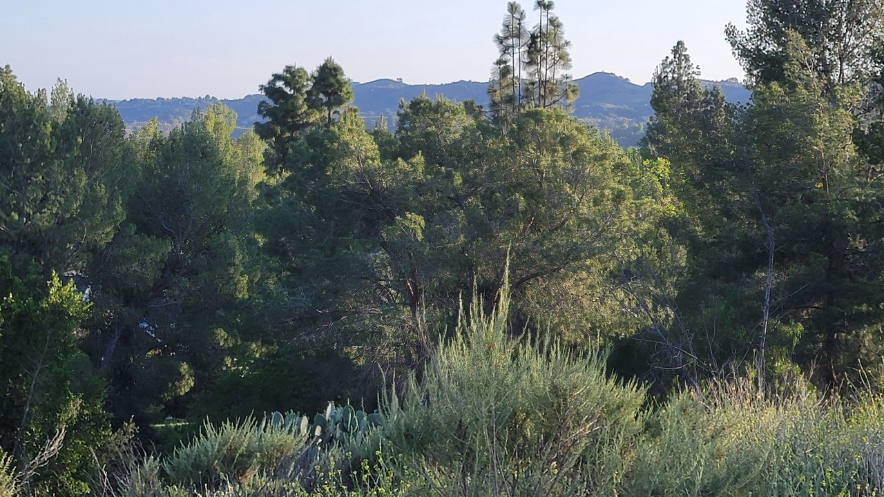 Photo of Others in Coto de Caza