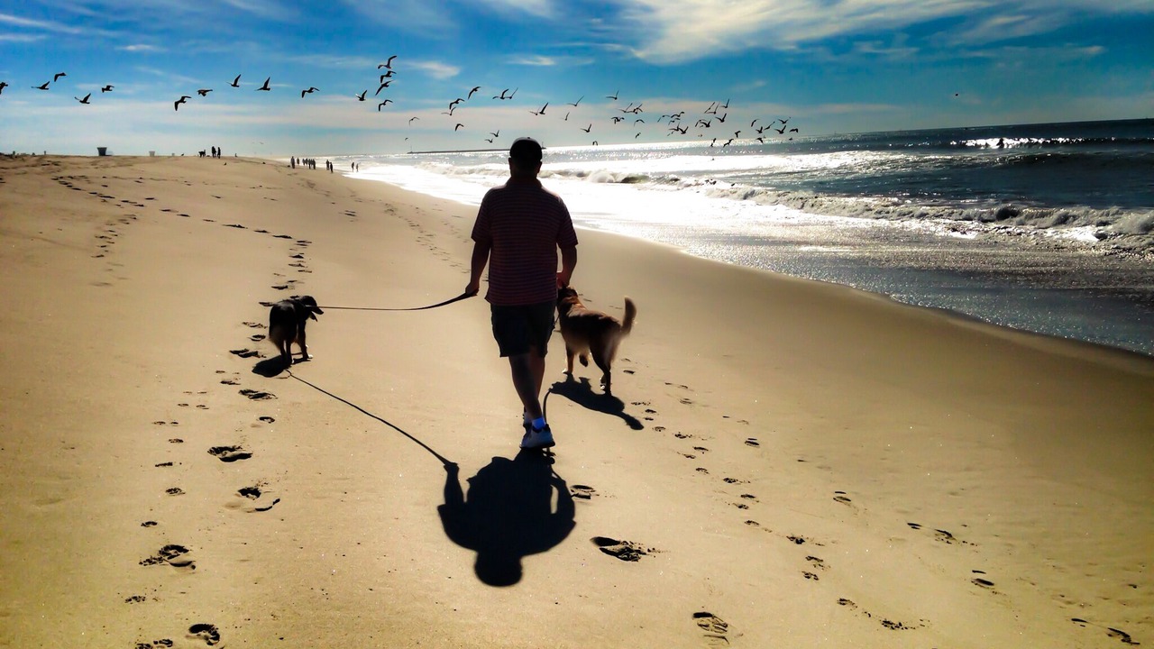 Photo of Others in Silver Strand