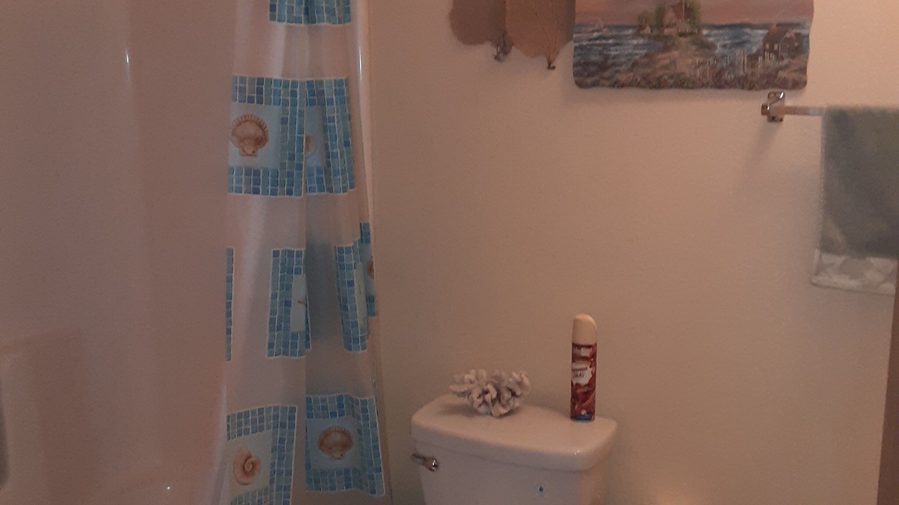 Photo of Bathroom in Newberry Springs