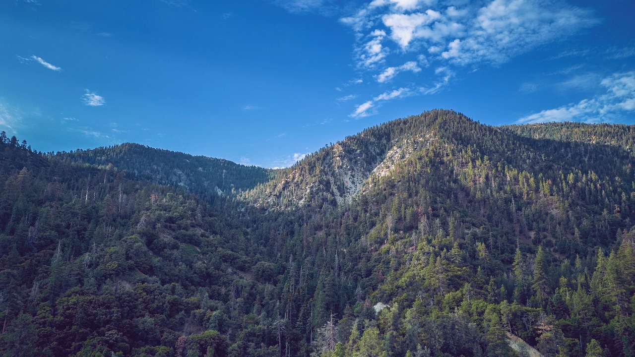 Photo of Outdoor in Pine Mountain Club