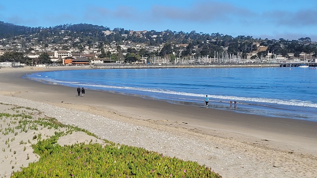 Photo of Others in Downtown Monterey
