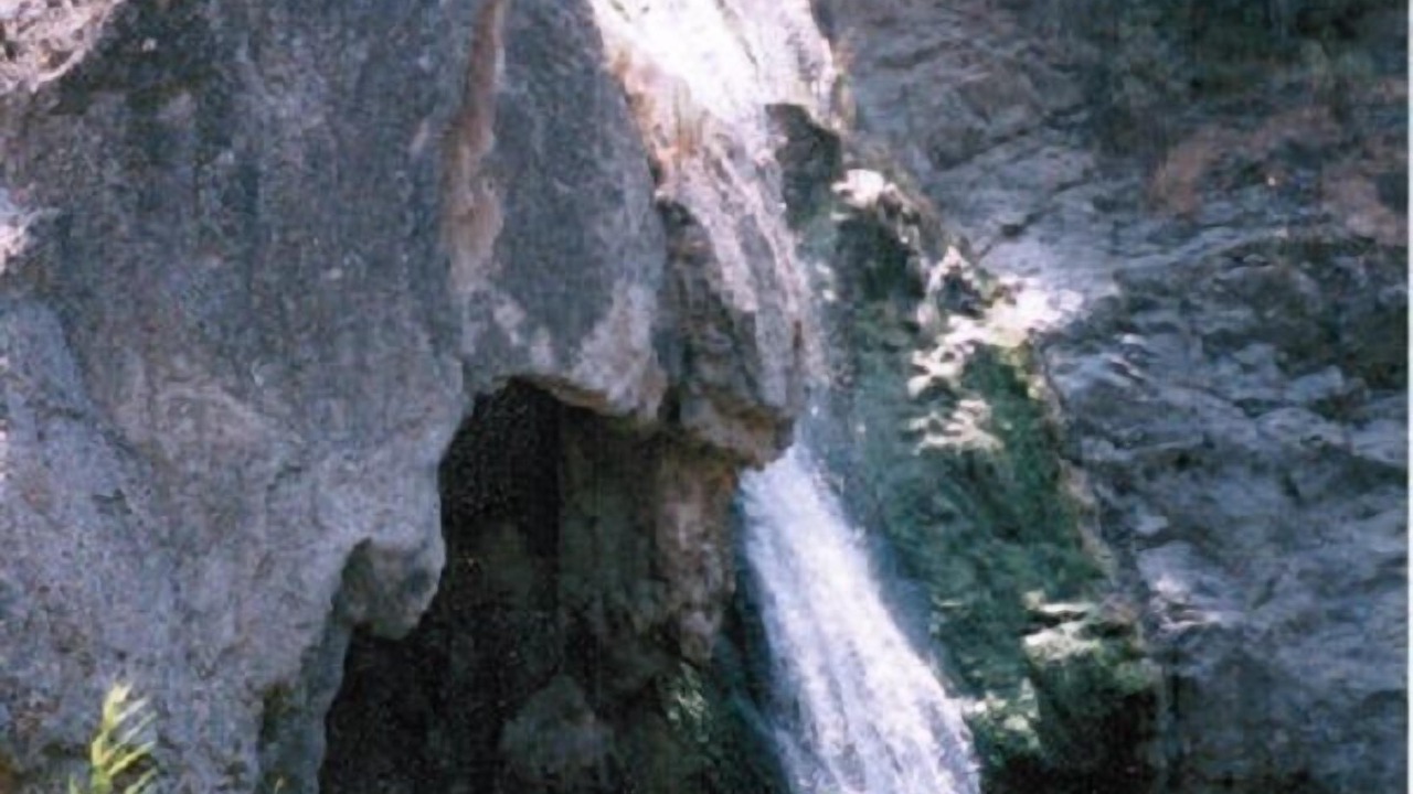 Photo of Others in Thousand Oaks