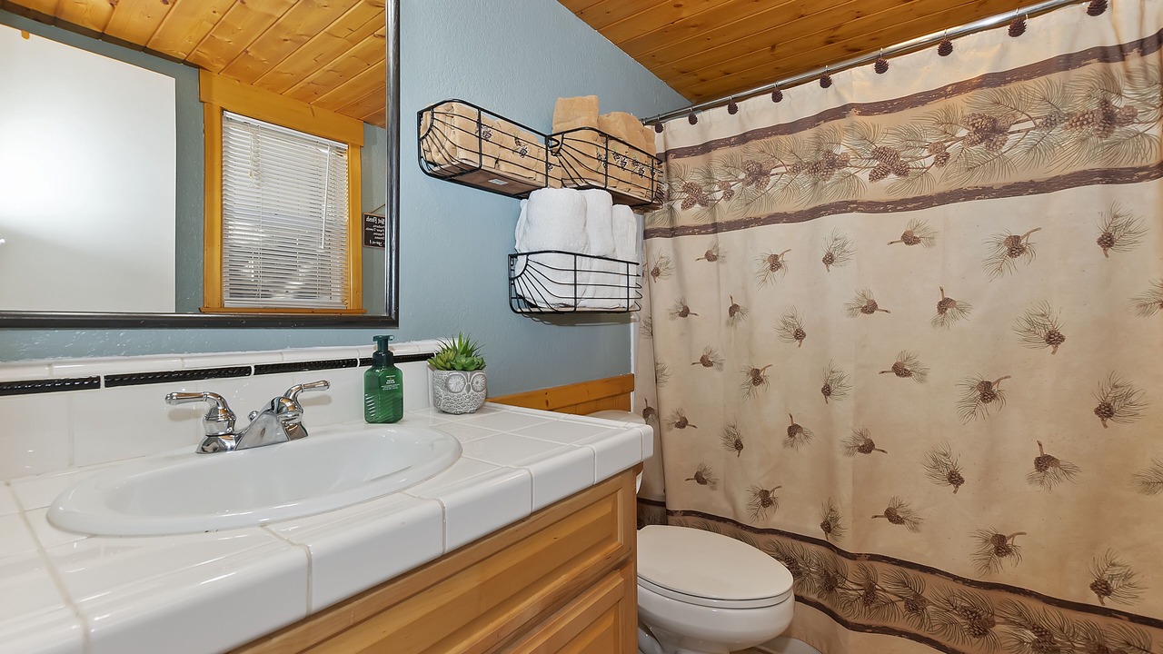 Photo of Bathroom in Woodlands