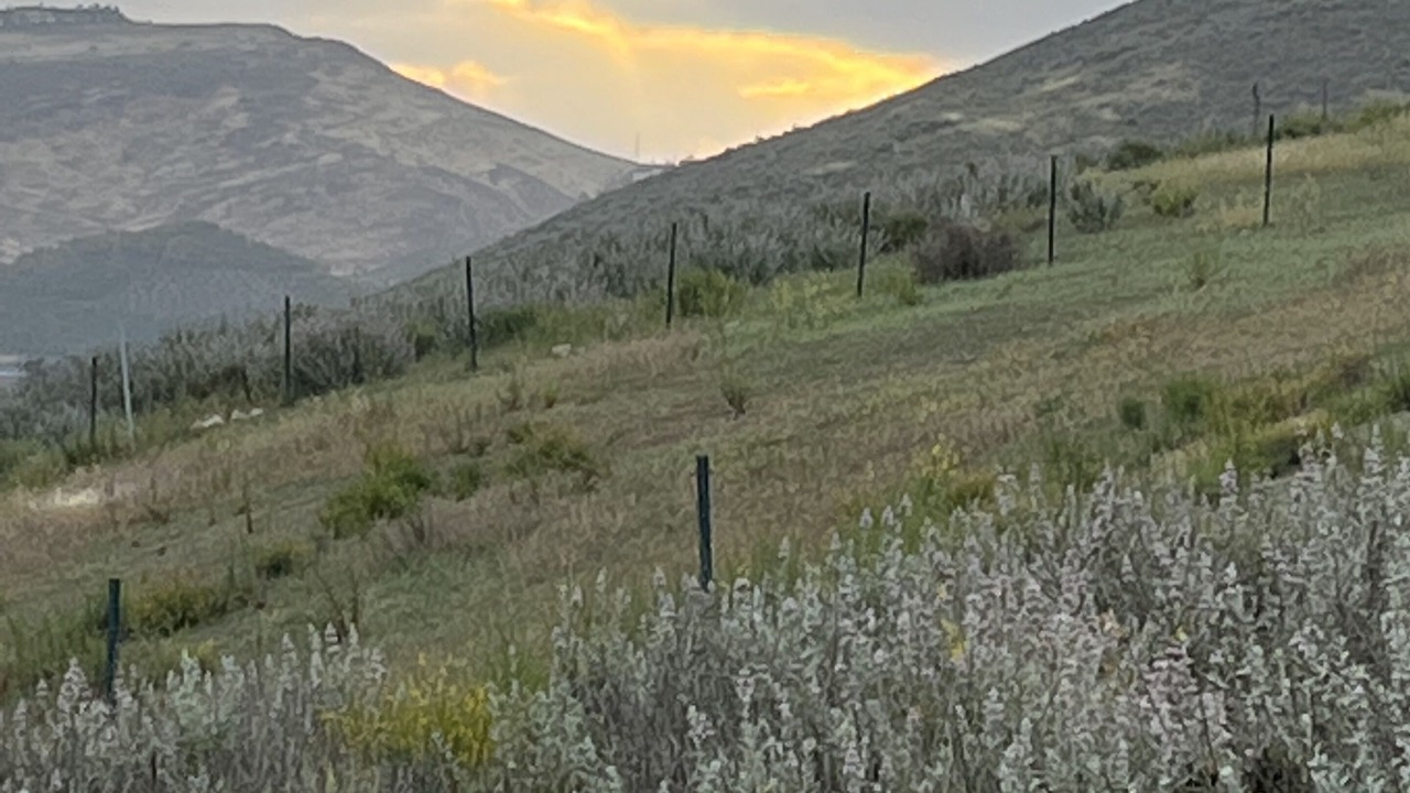 Photo of Outdoor in Moorpark