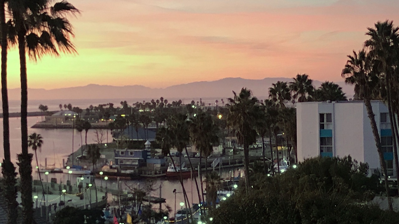 Photo of Others in South Redondo
