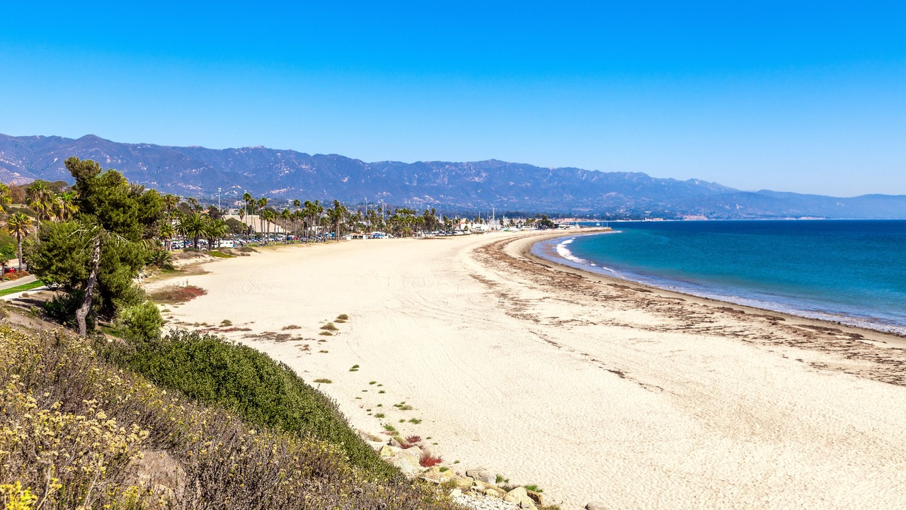 Photo of Others in East Beach