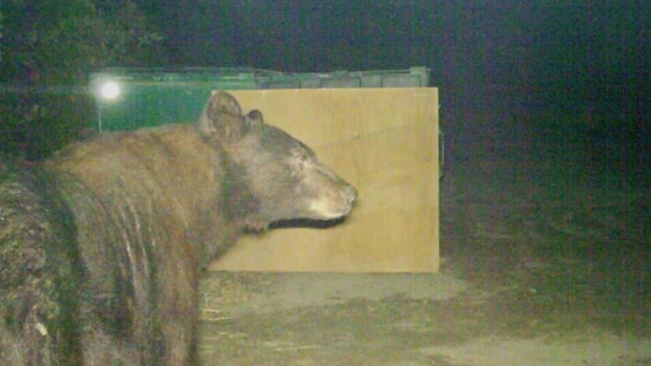 Photo of Others in Springville