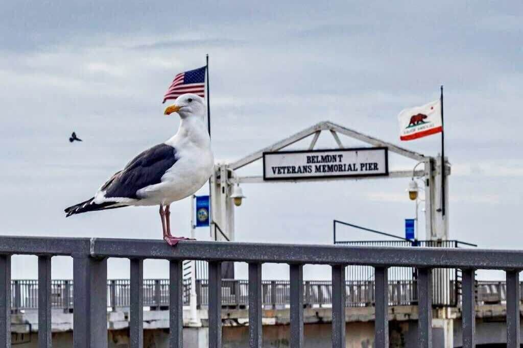 Photo of Others in Belmont Shore