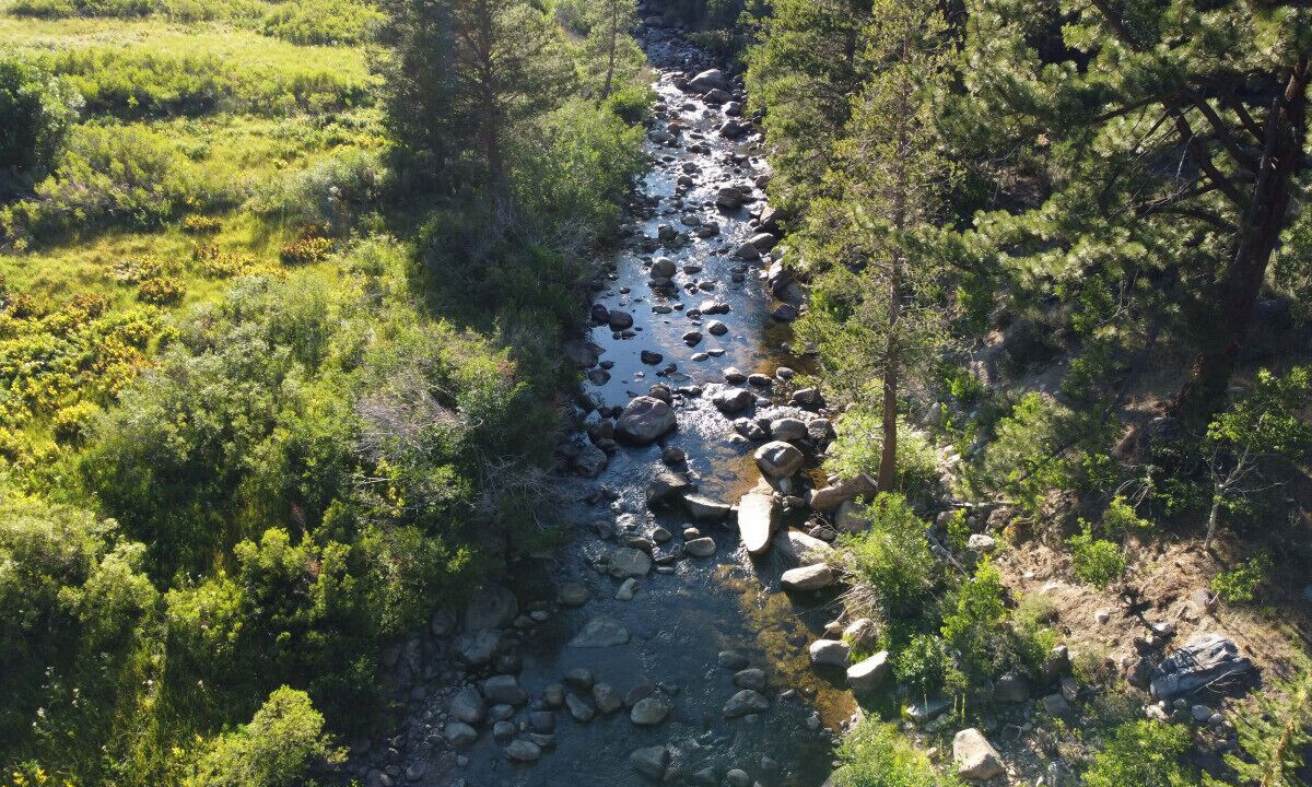 Photo of Outdoor in Markleeville