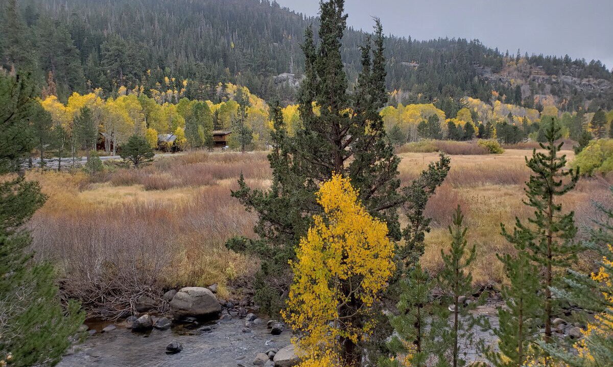 Photo of Outdoor in Markleeville