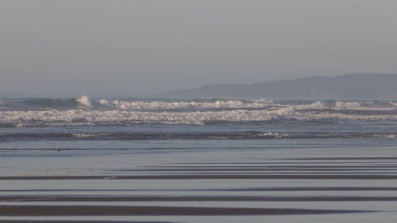 Photo of Others in Arcata