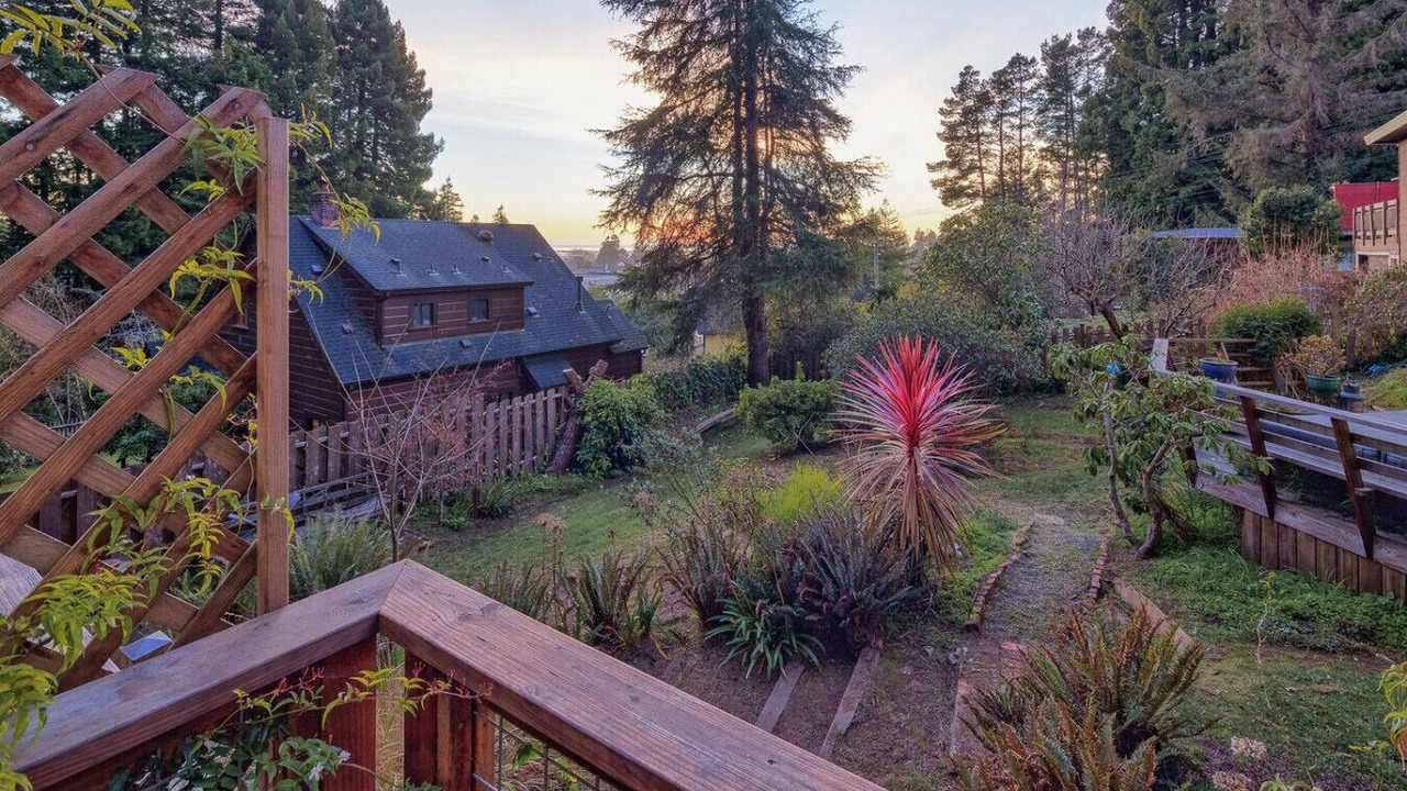 Photo of Outdoor in Arcata