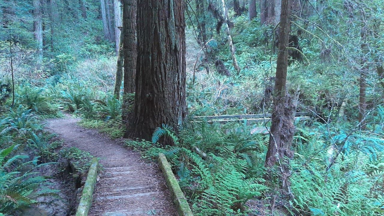 Photo of Others in Arcata