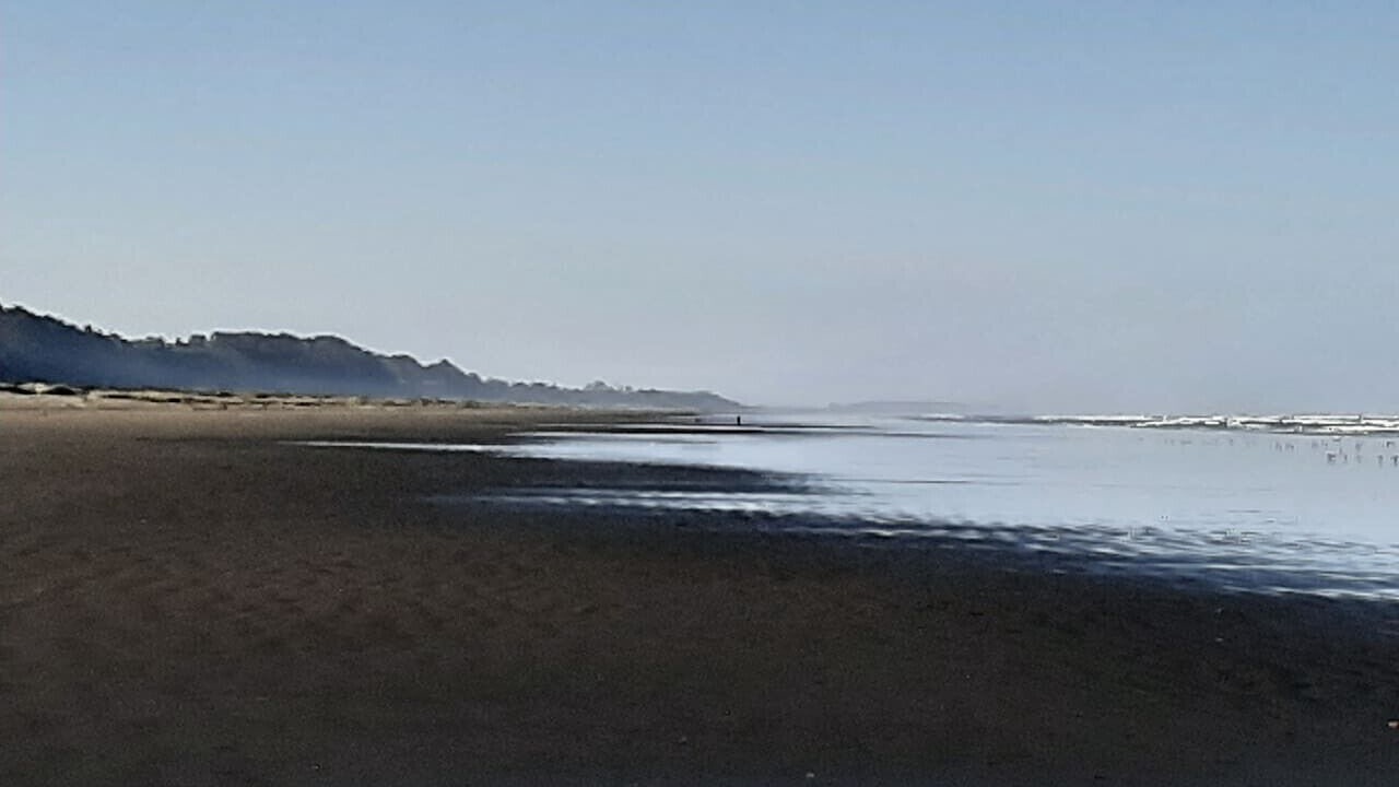 Photo of Others in Arcata