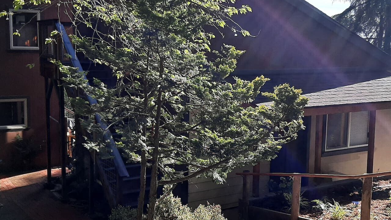Photo of Outdoor in Arcata