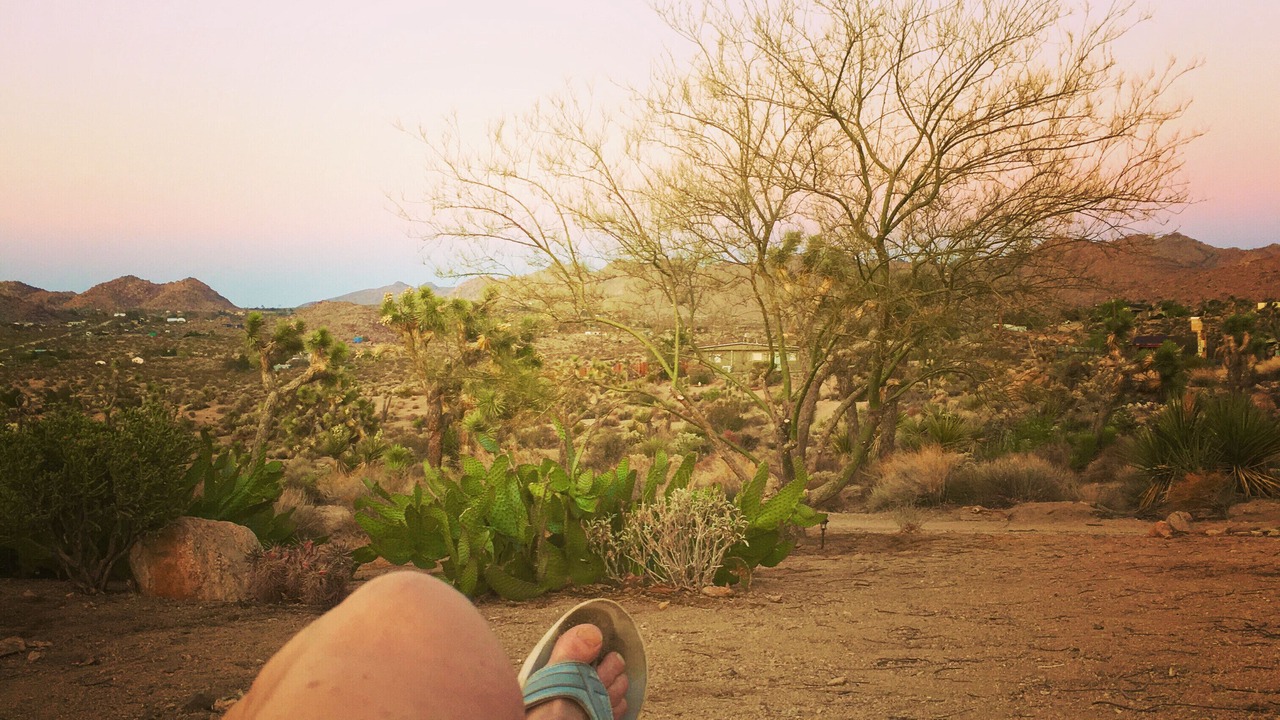 Photo of Outdoor in Joshua Tree Highlands