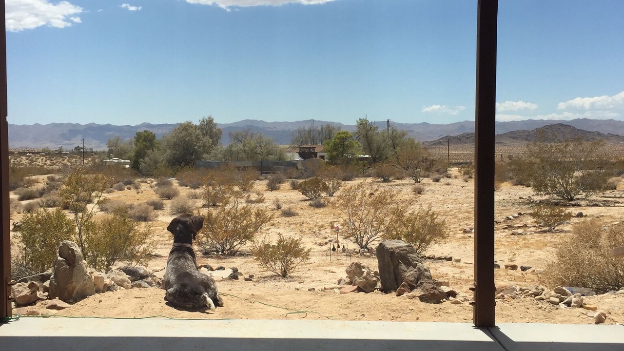 Photo of Bedroom in Joshua Tree