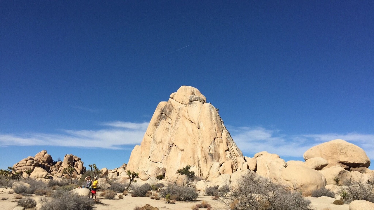 Photo of Others in Joshua Tree