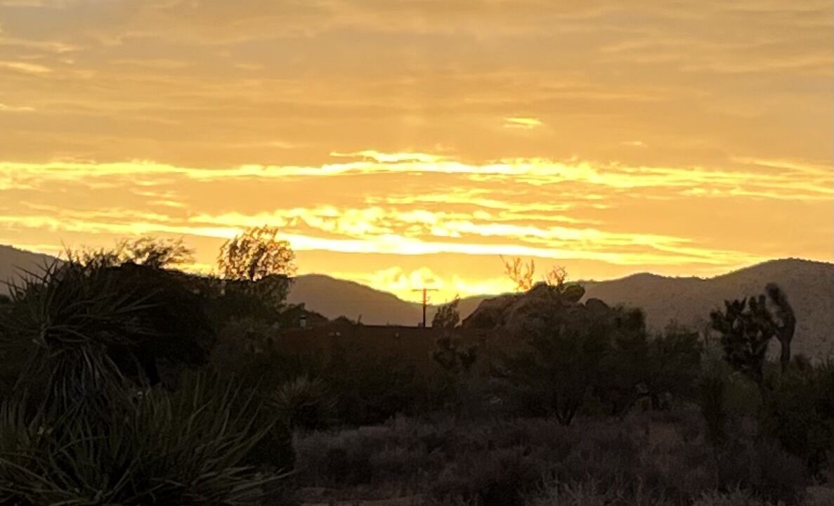 Photo of Others in Pioneertown