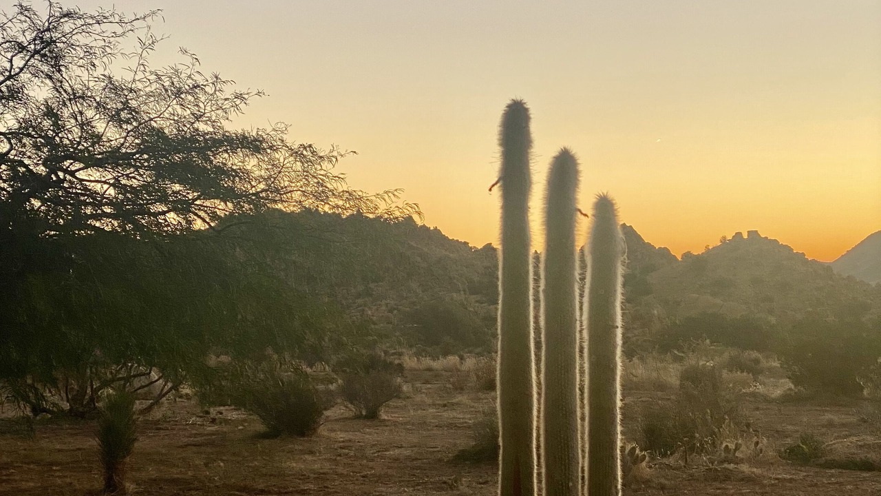 Photo of Outdoor in Pioneertown