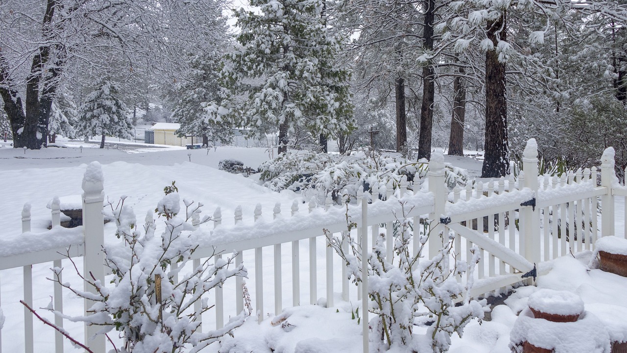 Photo of Outdoor in Wishon