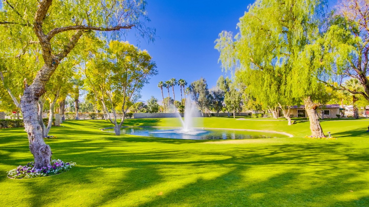 Photo of Outdoor in Palm Desert