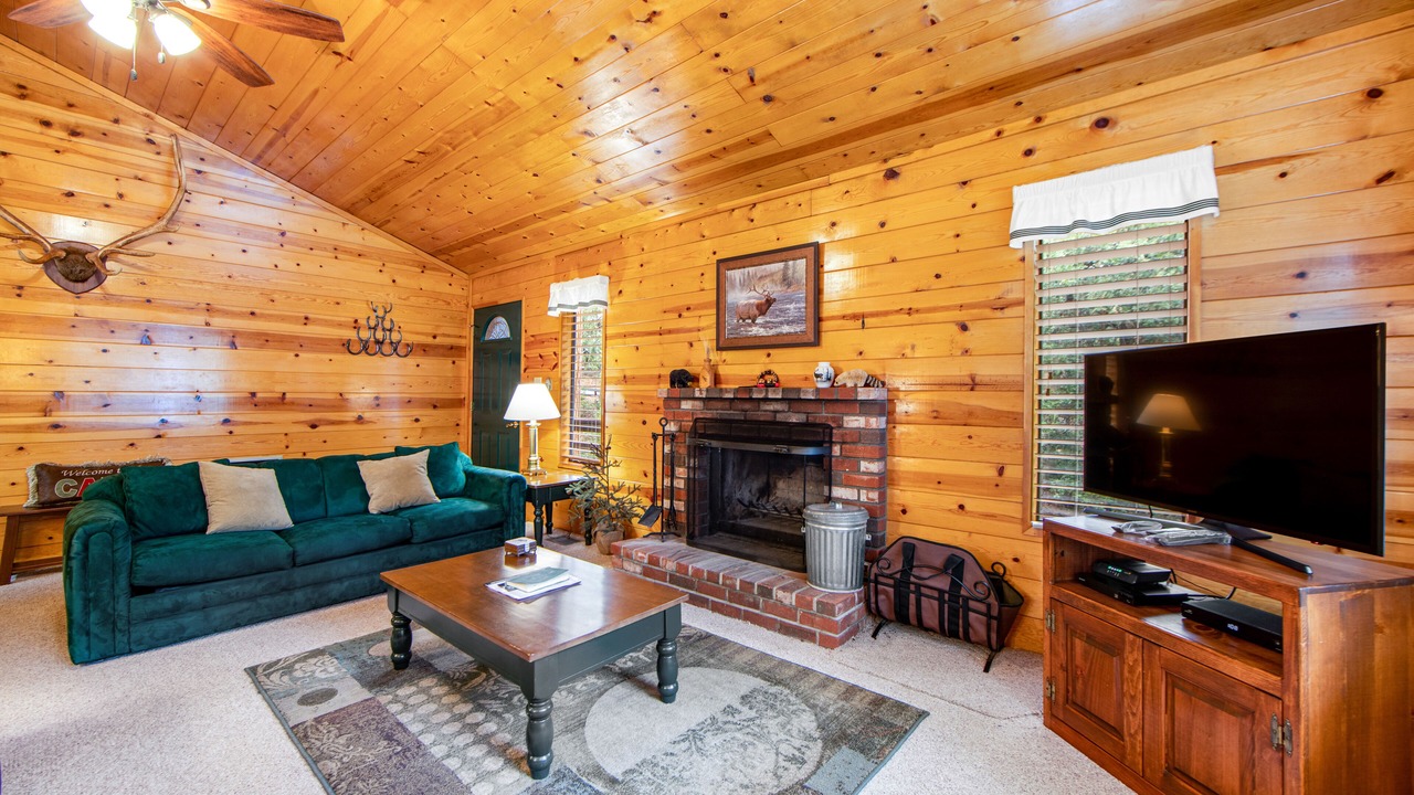 Photo of Livingroom in Idyllwild