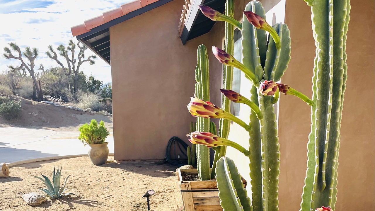 Photo of Others in Yucca Valley