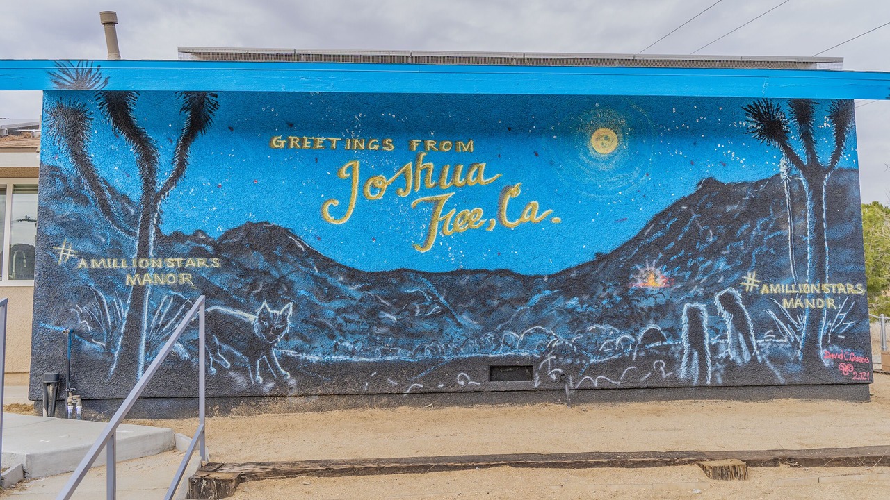 Photo of Others in Joshua Tree