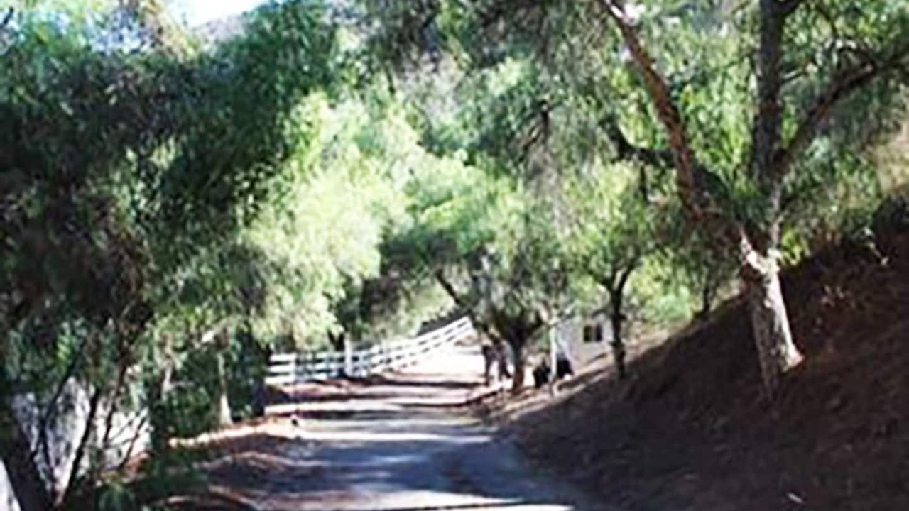 Photo of Others in Bonsall