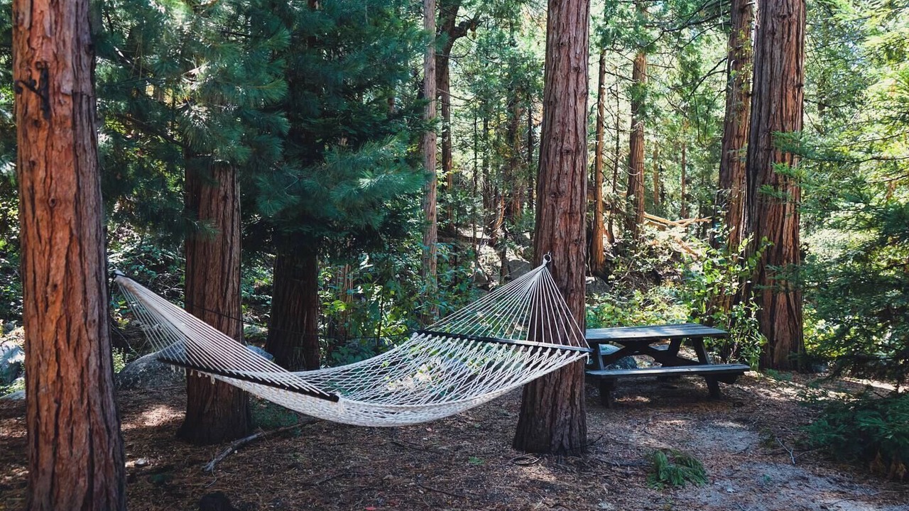 Photo of Others in Idyllwild