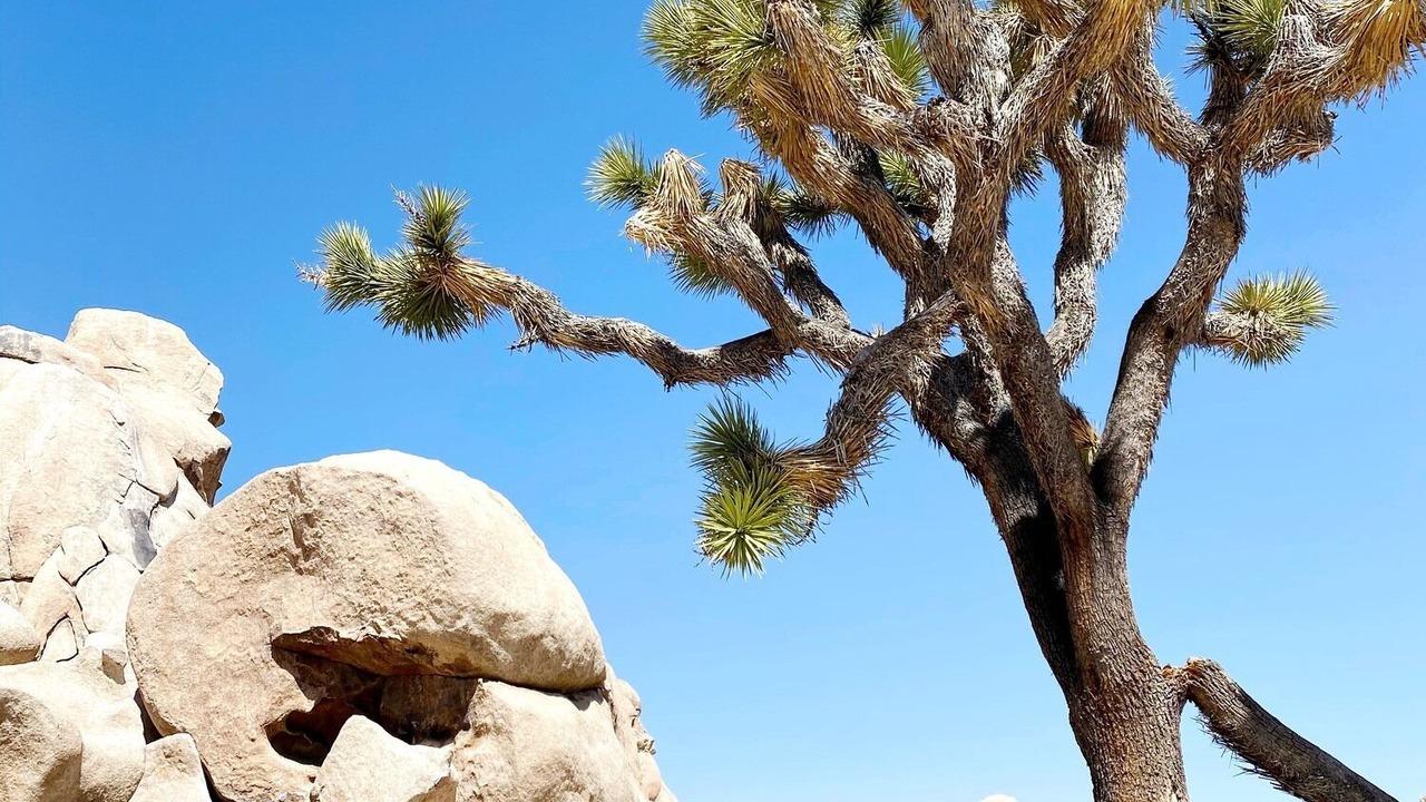 Photo of Outdoor in Indian Cove