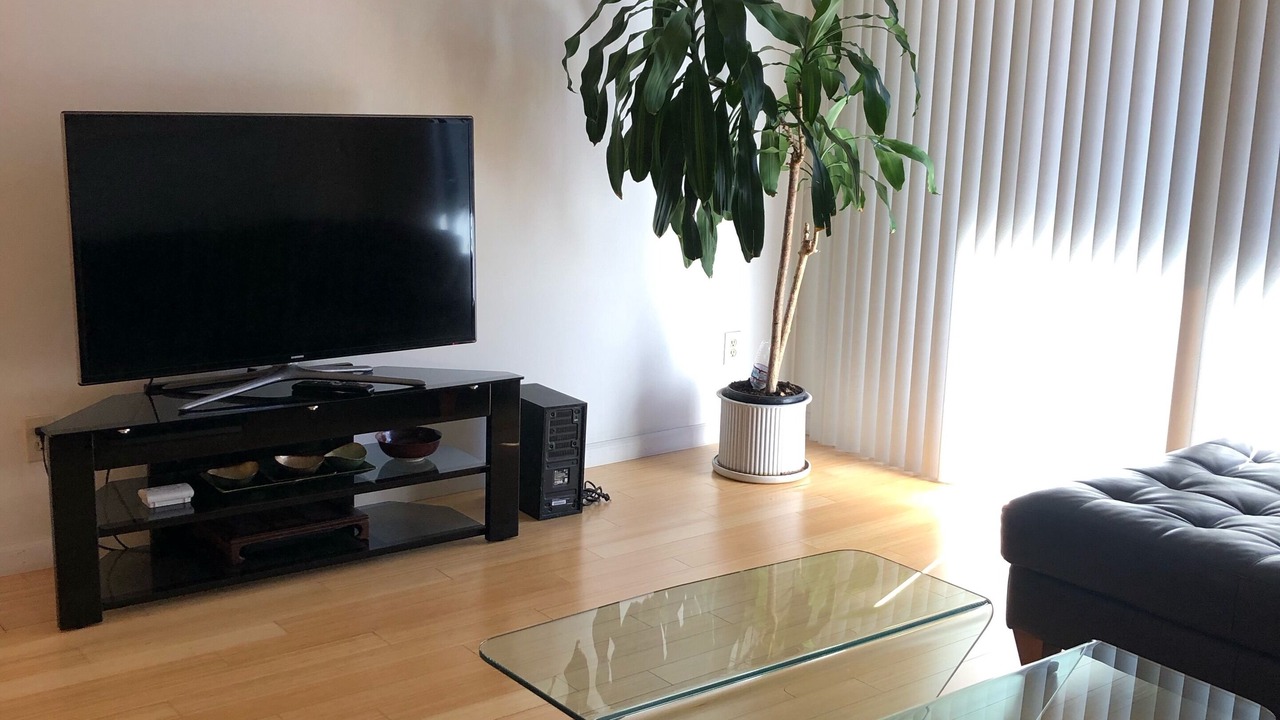 Photo of Livingroom in Little Tokyo