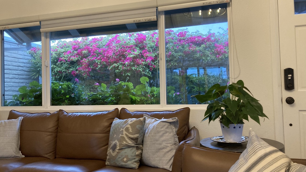 Photo of Outdoor in Dana Point