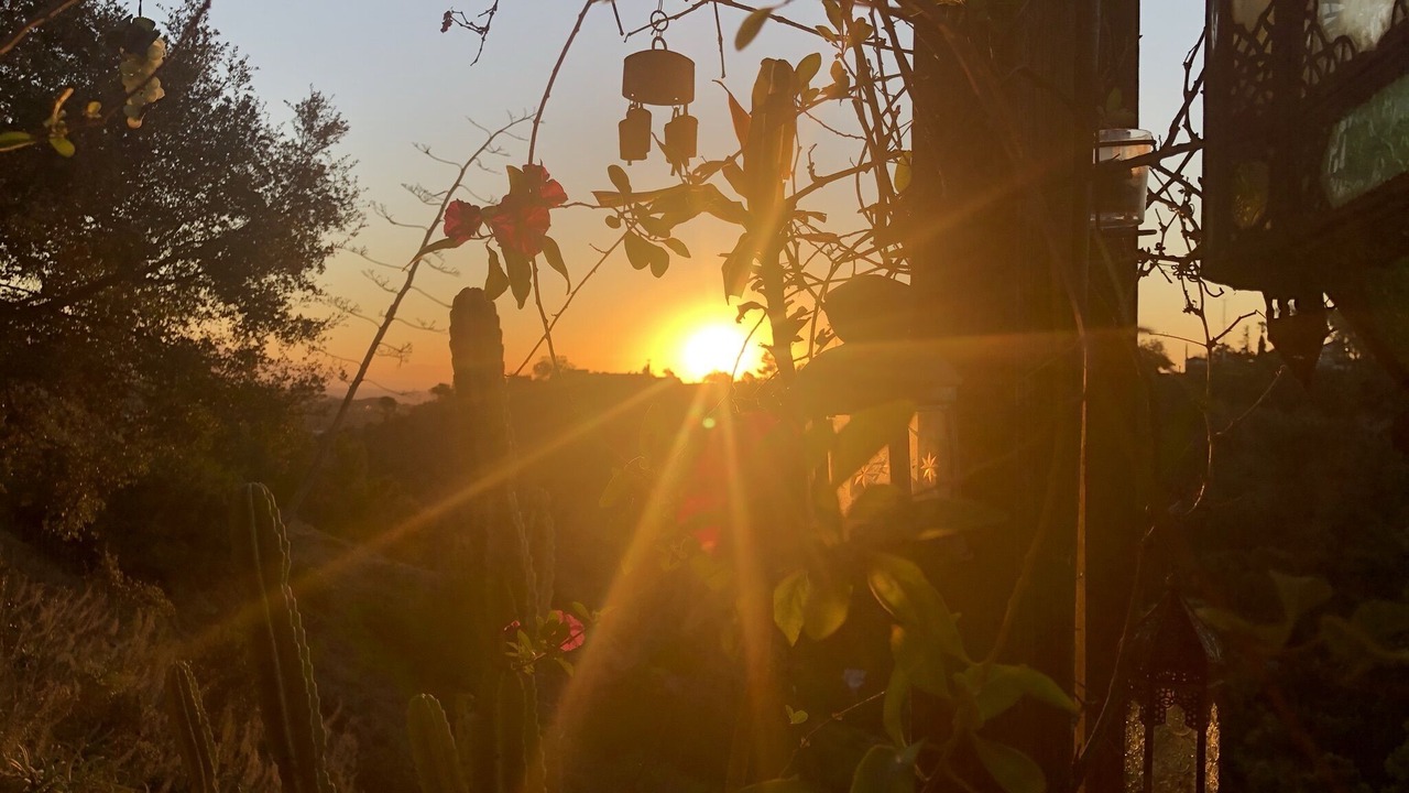 Photo of Outdoor in Hollywood Hills West