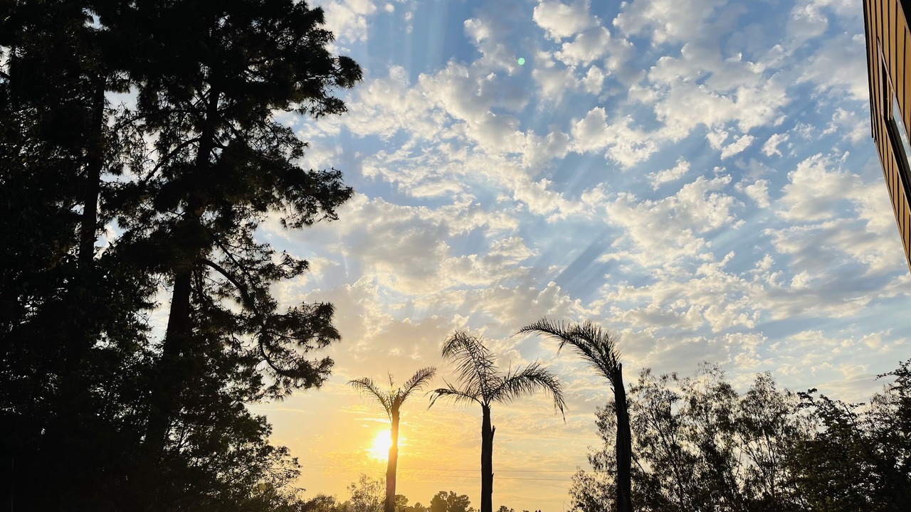 Photo of Others in Hollywood Hills West