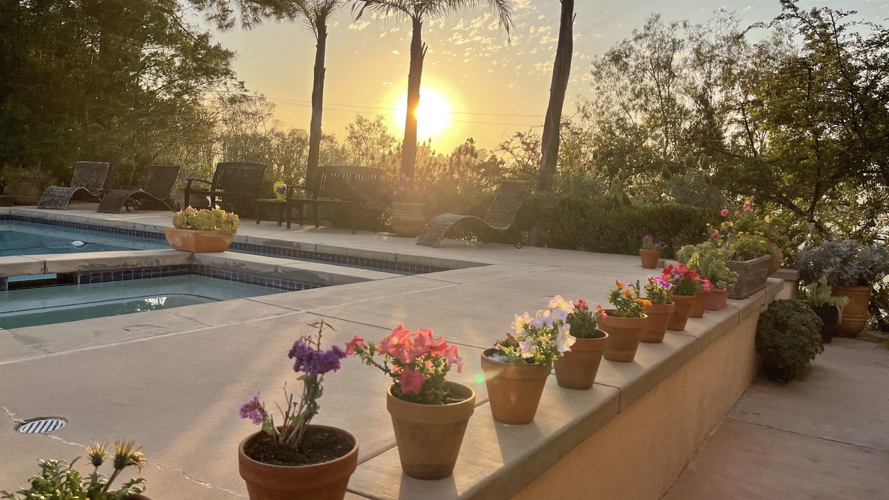 Photo of Outdoor in Hollywood Hills West