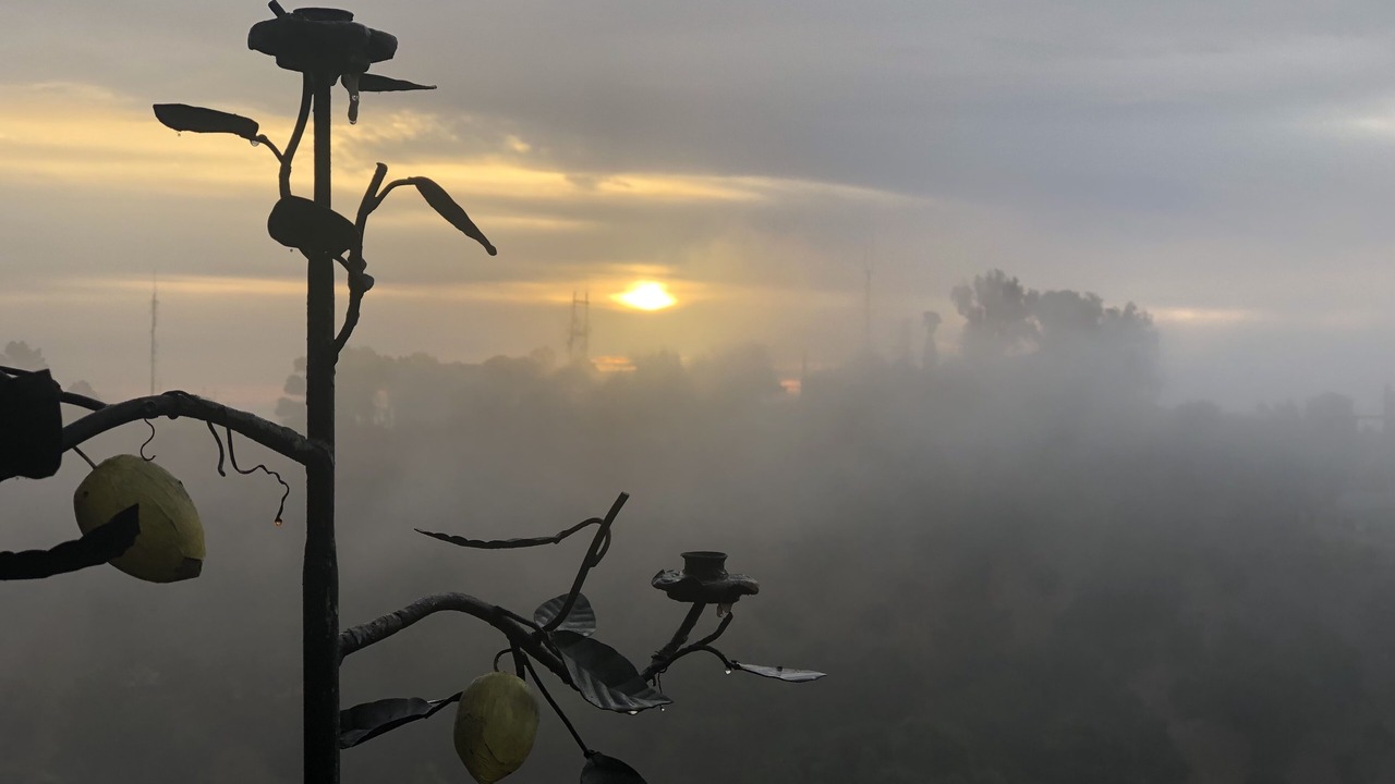 Photo of Others in Hollywood Hills West