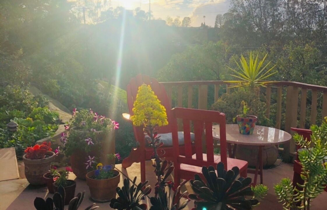Photo of Outdoor in Hollywood Hills West