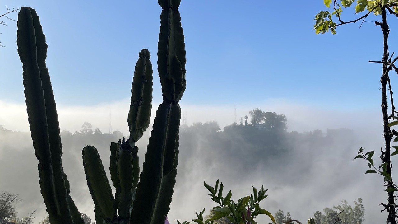 Photo of Outdoor in Hollywood Hills West