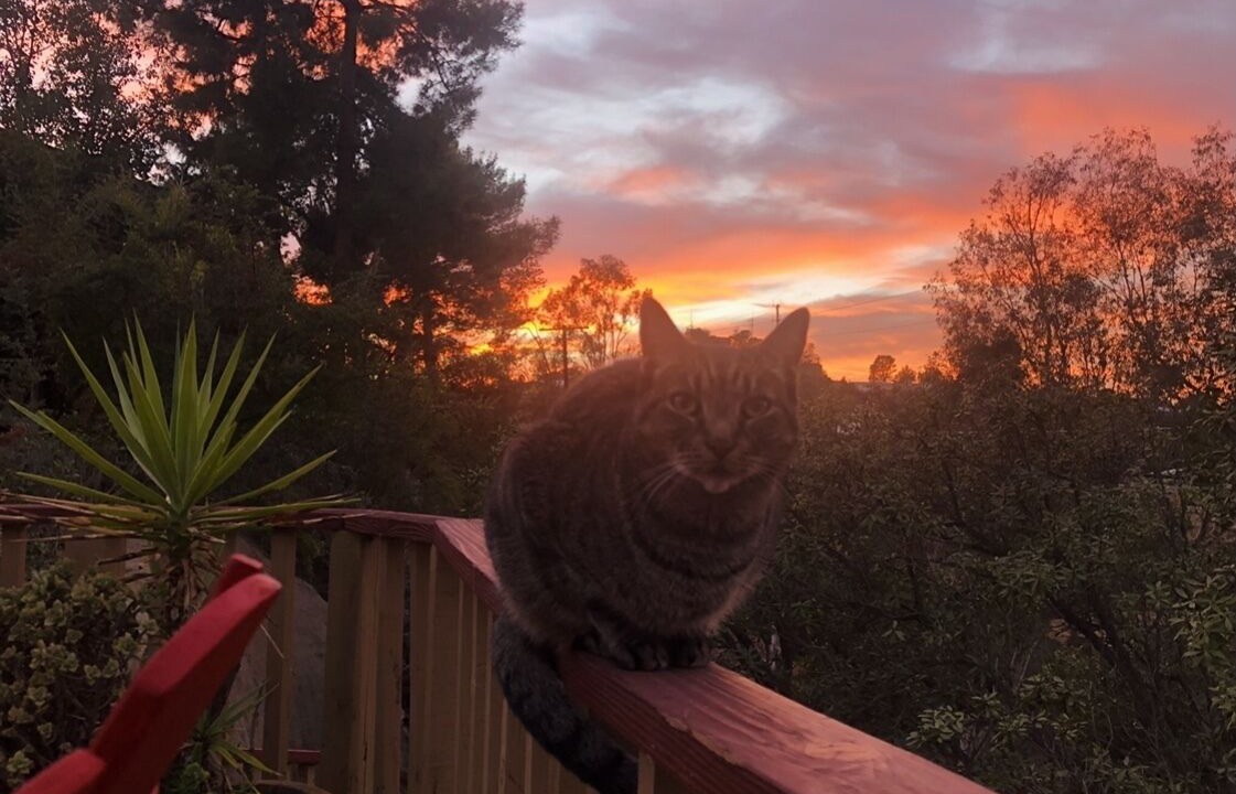 Photo of Outdoor in Hollywood Hills West