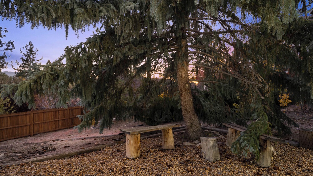 Photo of Others in Big Bear City