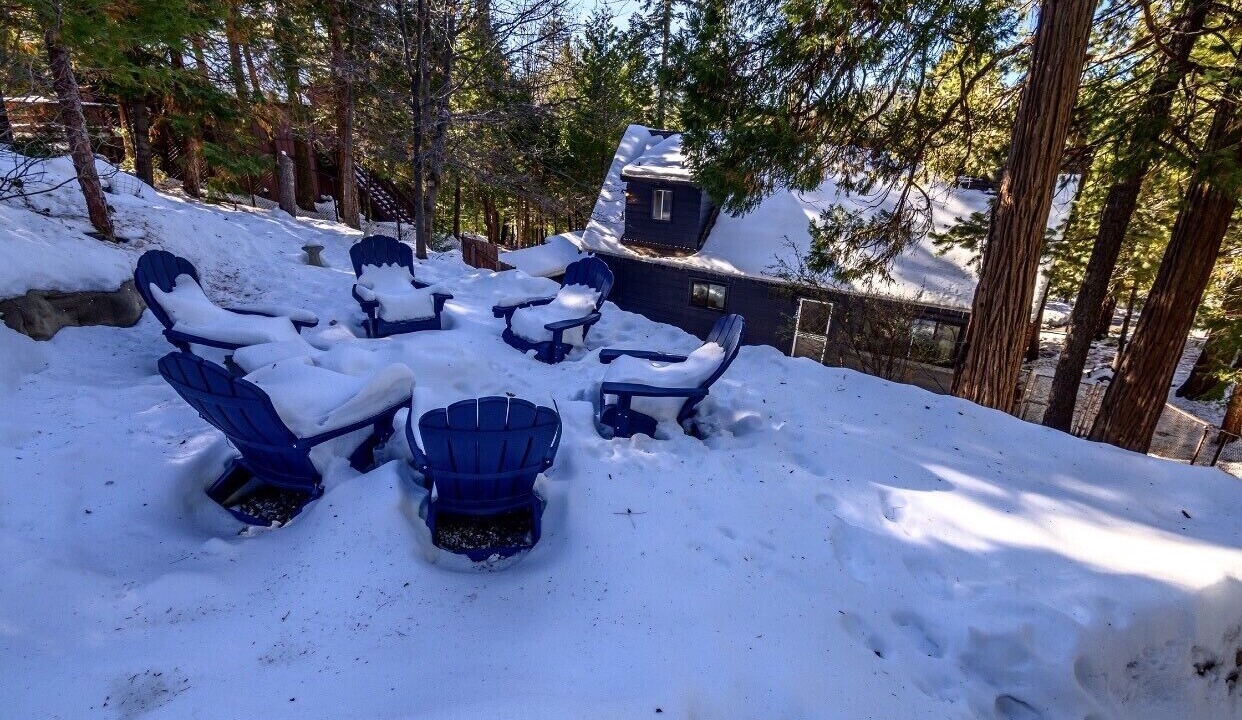 Photo of Outdoor in Blue Jay