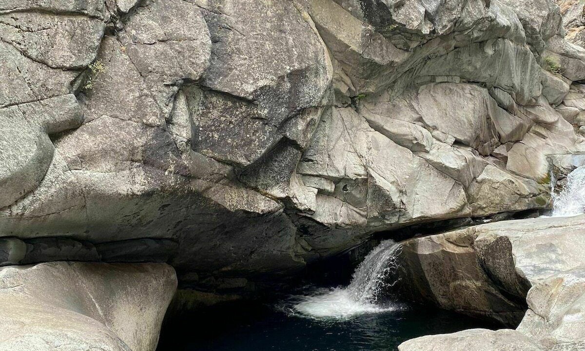 Photo of Others in Twain Harte