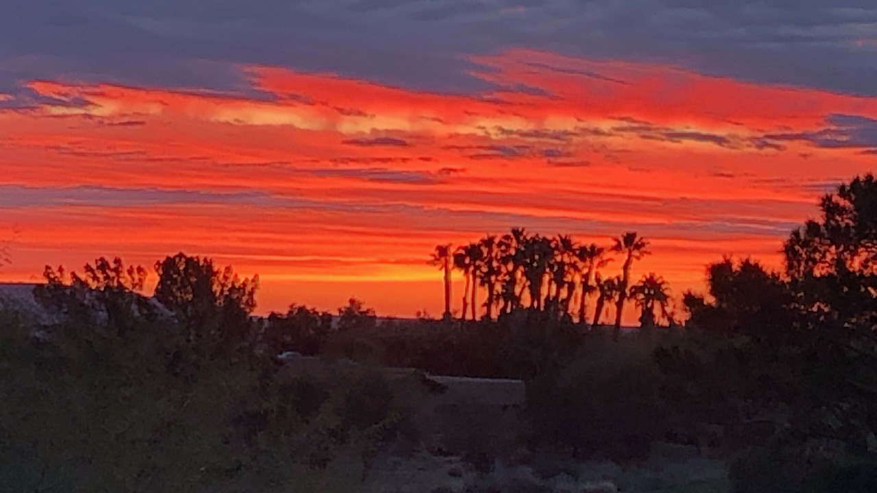 Photo of Others in Borrego Springs
