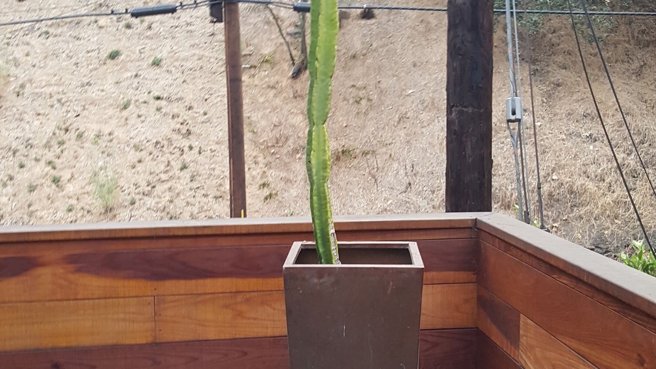Photo of Outdoor in Bel Air