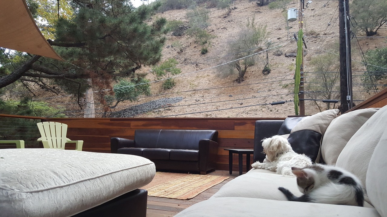 Photo of Outdoor in Bel Air
