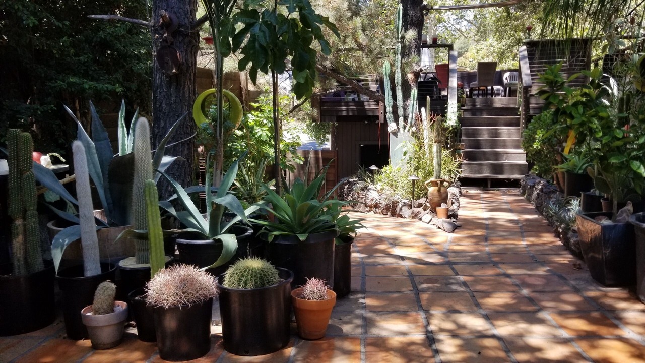 Photo of Outdoor in Bel Air