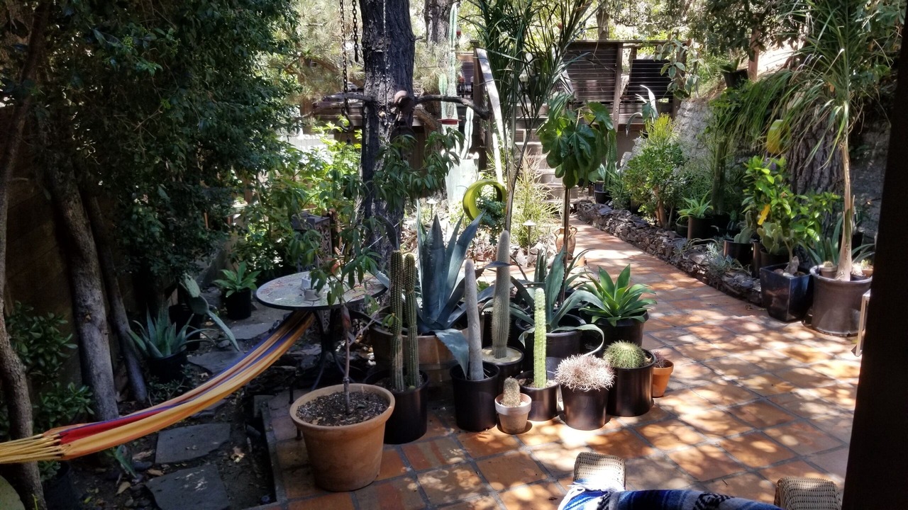 Photo of Outdoor in Bel Air