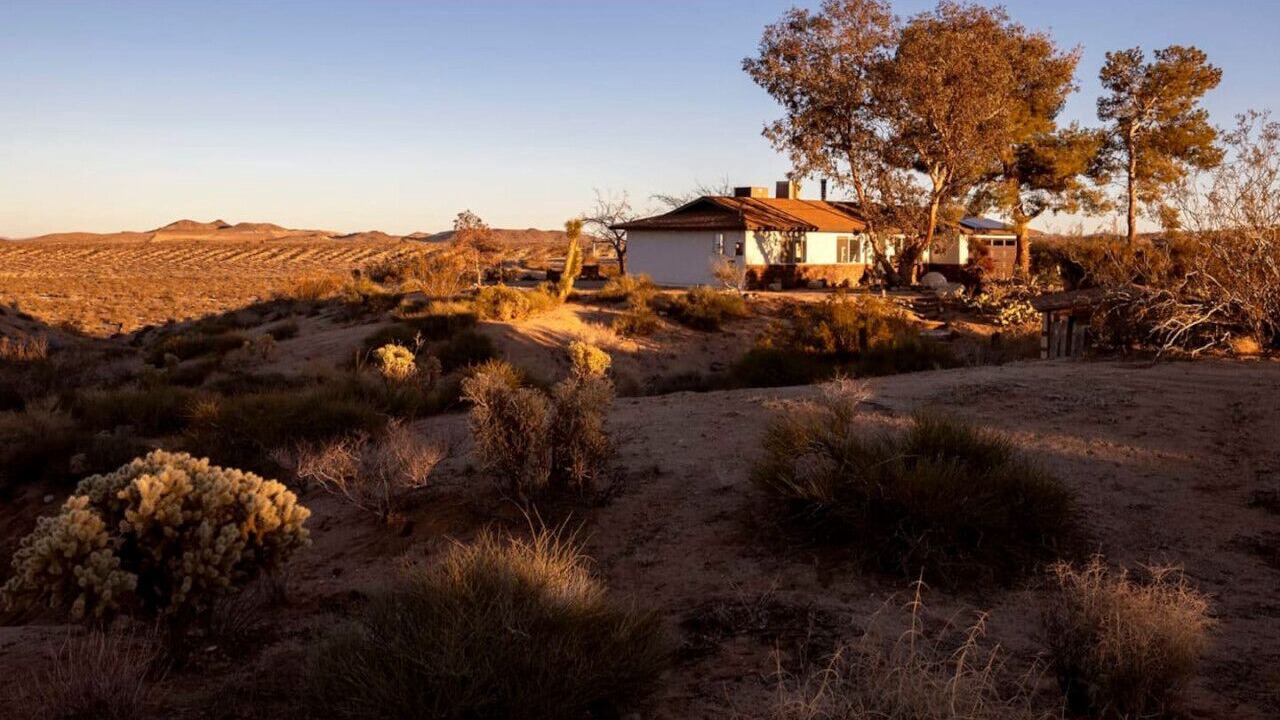Photo of Others in Yucca Valley